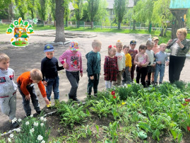 День Эколят День Эколят.